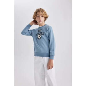 DEFACTO Boy Crew Neck Printed Thick Sweatshirt