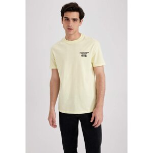 DEFACTO Regular Fit Crew Neck Printed T-Shirt