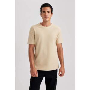 DEFACTO Regular Fit Crew Neck T-Shirt