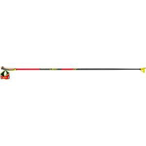 Leki Poles PRC 750 170