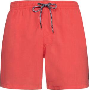 Protest Davey Beachshort L