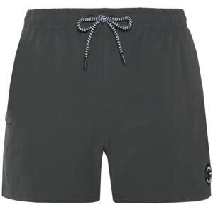 Protest Prtyessine Beachshort M