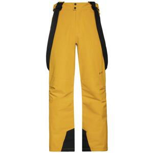 Protest Owens Snowpants L