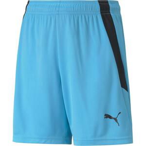 Puma teamLIGA Shorts Jr 176