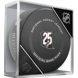 InGlasCo Fanúšikovský puk NHL Game 20th Anniversary (1ks)