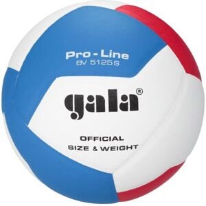GALA BV5125 PRO-LINE 12 Volejbalová lopta, biela, veľkosť 5