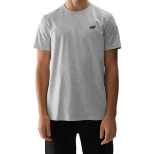4F T-SHIRT Pánske tričko, sivá, veľkosť