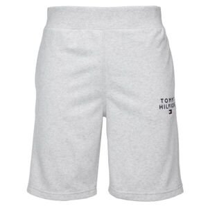 Tommy Hilfiger SHORT Pánske šortky, sivá, veľkosť