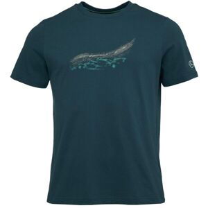 Puma MERCEDES-AMG PETRONAS F1 ESSENTIALS CAR GRAPHIC TEE Pánske tričko, tmavo zelená, veľkosť