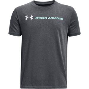 Under Armour WORDMARK Chlapčenské tričko, sivá, veľkosť