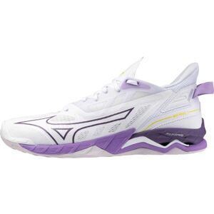 Mizuno WAVE MIRAGE 5 Pánska halová obuv, biela, veľkosť 36.5