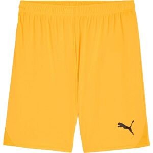 Puma TEAMGOAL SHORTS Pánske futbalové šortky, oranžová, veľkosť