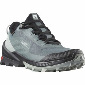 Salomon CROSS OVER GTX W Dámska turistická obuv, sivá, veľkosť 40 2/3