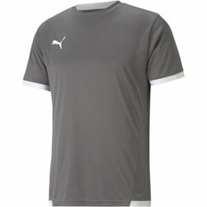 Puma TEAM LIGA JERSEY Pánske futbalové tričko, sivá, veľkosť S