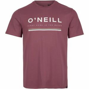 O'Neill ARROWHEAD T-SHIRT Pánske tričko, vínová, veľkosť S