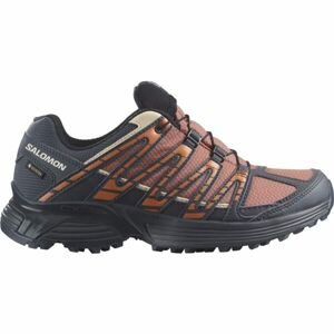 Salomon XT RECKON GTX W Dámska trailová obuv, hnedá, veľkosť 40