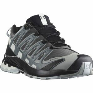 Salomon XA PRO 3D V8 GTX Pánska trailová obuv, sivá, veľkosť 46