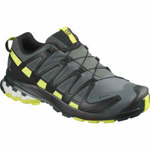 Salomon XA PRO 3D V8 GTX Pánska bežecká obuv, čierna, veľkosť 41 1/3