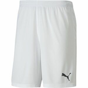 Puma TEAM GOAL 23 KNIT SHORTS Pánske šortky, biela, veľkosť S