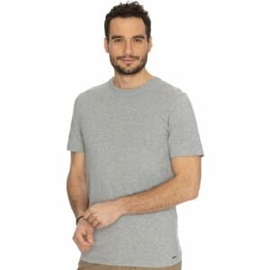 BUSHMAN BORNO Pánske tričko, sivá, veľkosť XXXL