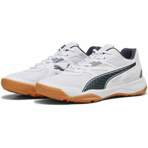 Puma SOLARFLASH II Pánska indoorová obuv, biela, veľkosť 44.5