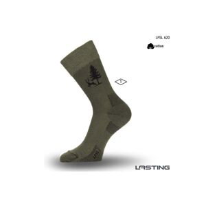 Lasting LFSL 620 Bavlnené zelená Veľkosť: (46-49) XL ponožky